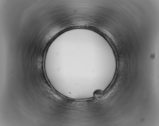 X0000089920778200707271735