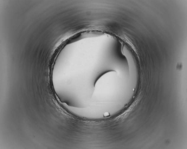 X0000089920781200707271735