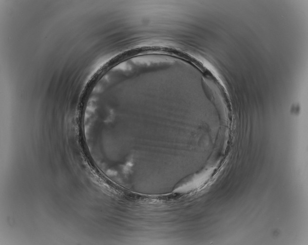 X0000089920783200707271735