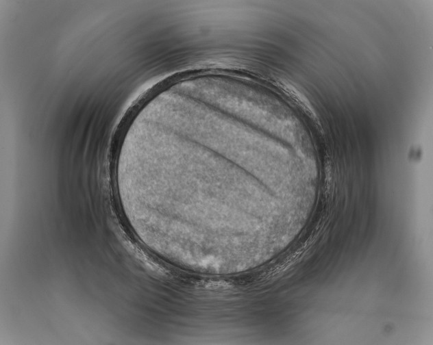 X0000089920784200707271735