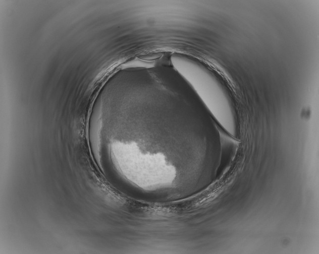 X0000089920785200707271735