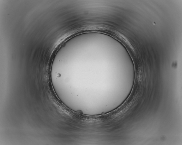 X0000089920786200707271735