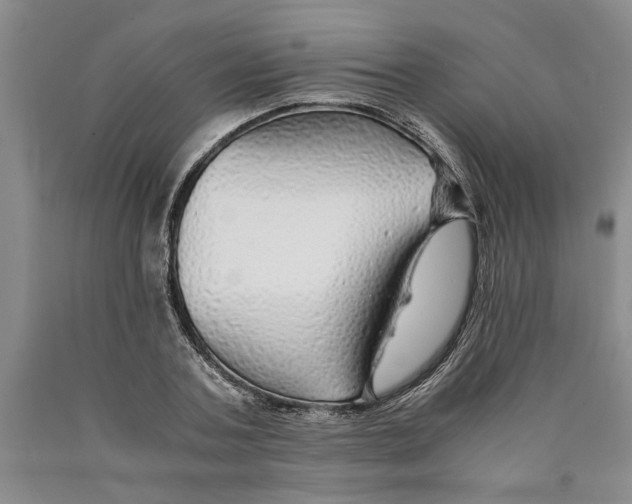 X0000089920787200707271735