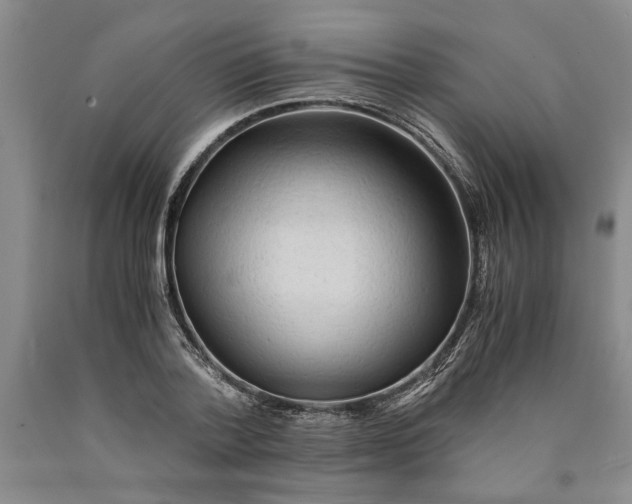 X0000089920788200707271735