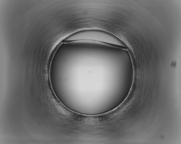 X0000089920789200707271735