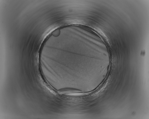 X0000089920790200707271735