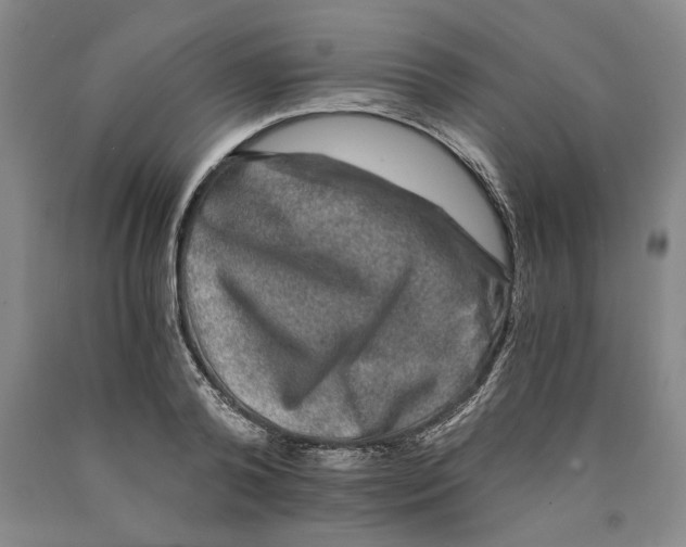 X0000089920792200707271735