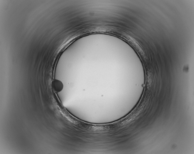 X0000089920794200707271735