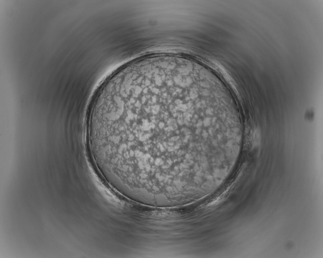 X0000089920795200707271735