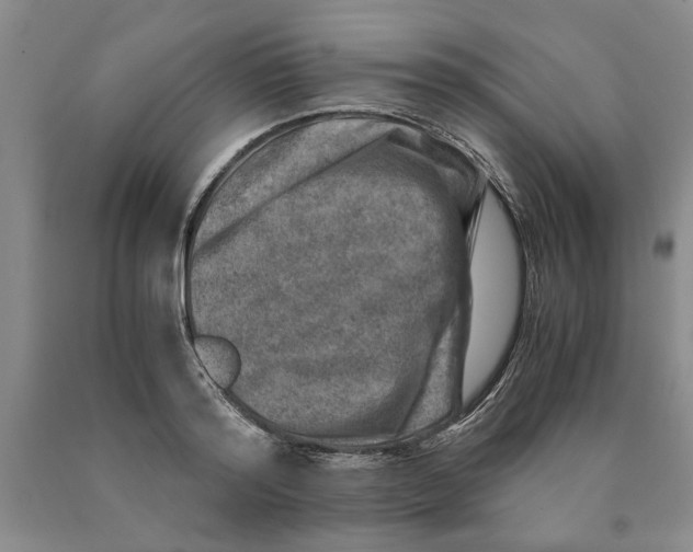 X0000089920796200707271735