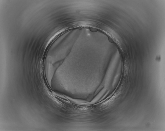 X0000089920798200707271735