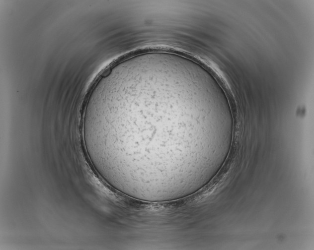 X0000089920799200707271735