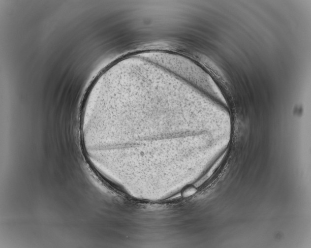 X0000089920800200707271735