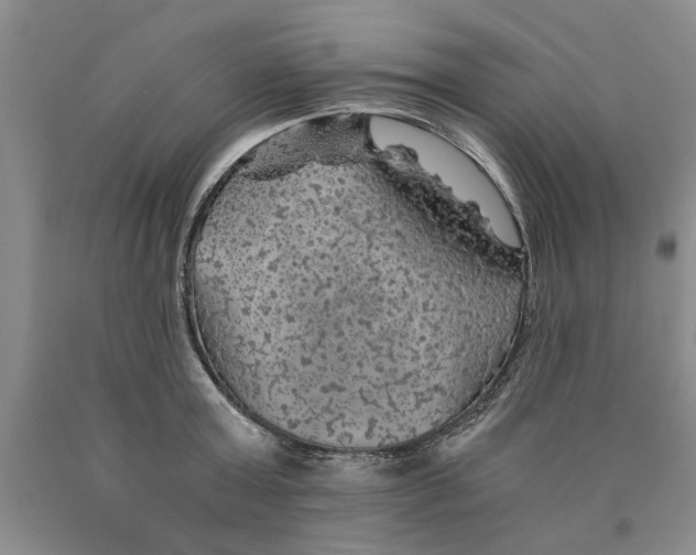 X0000089920803200707271735