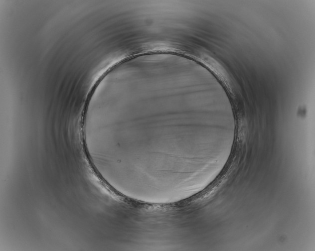 X0000089920806200707271735