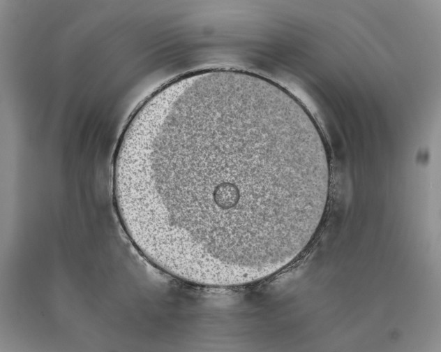 X0000089920807200707271735