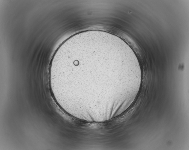 X0000089920808200707271735