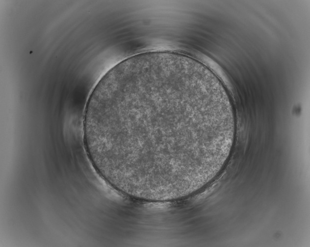 X0000089920810200707271735