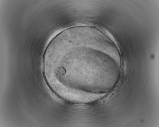 X0000089920811200707271735