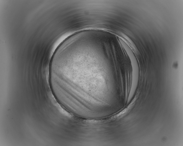 X0000089920812200707271735