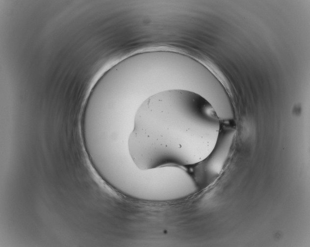 X0000089920813200707271735