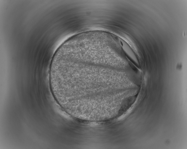 X0000089920814200707271735