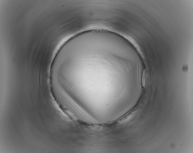 X0000089920815200707271735