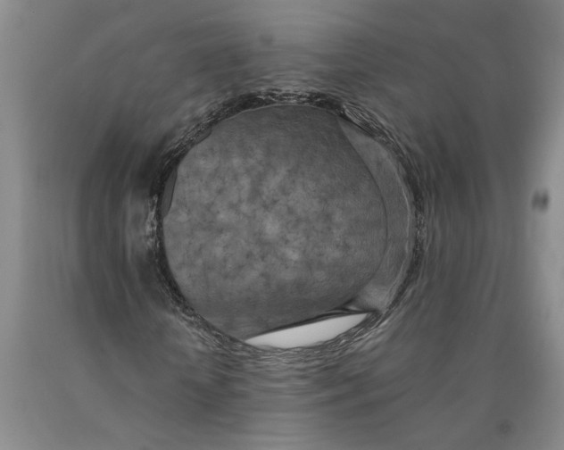 X0000089920818200707271734