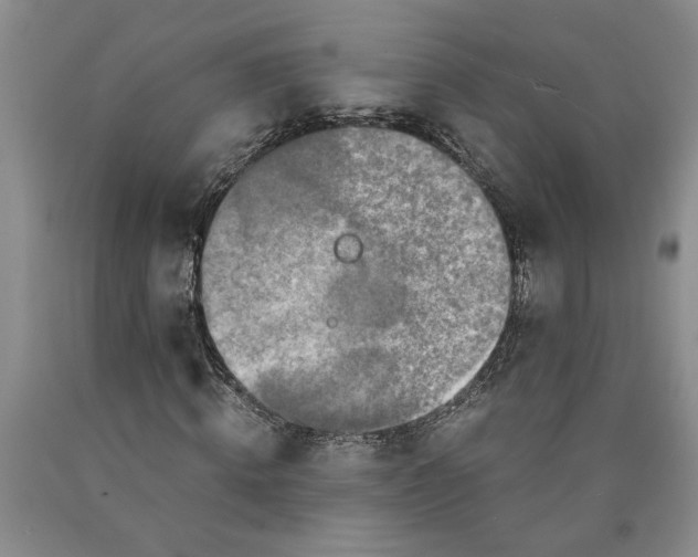 X0000089920820200707271734