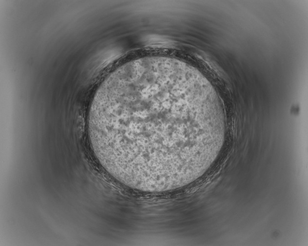 X0000089920821200707271734