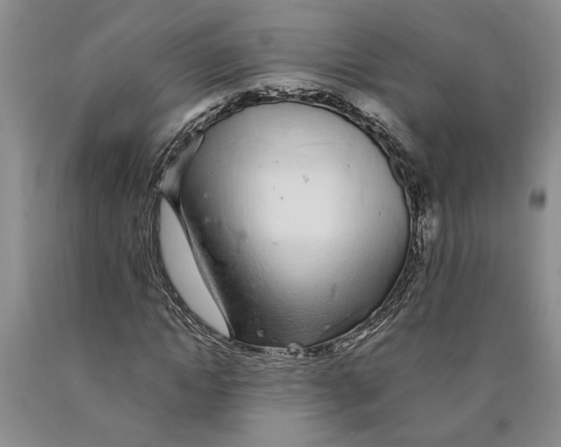 X0000089920822200707271734