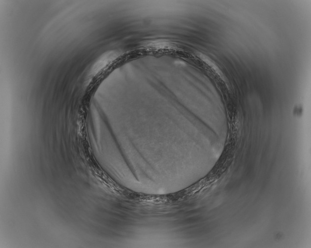 X0000089920823200707271734