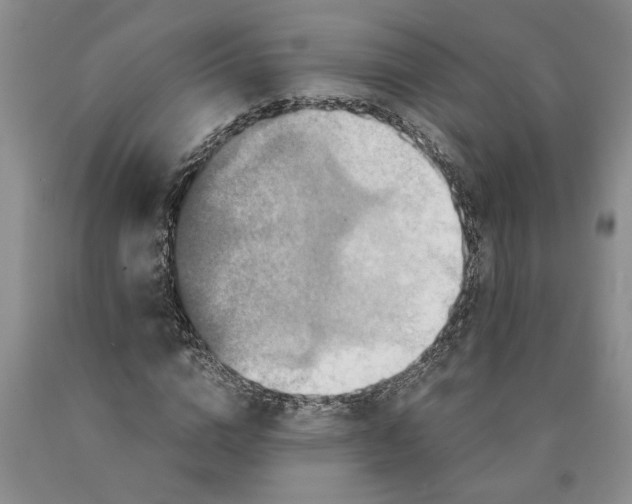 X0000089920824200707271734