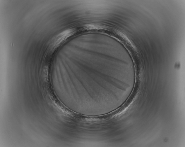 X0000089920825200707271734