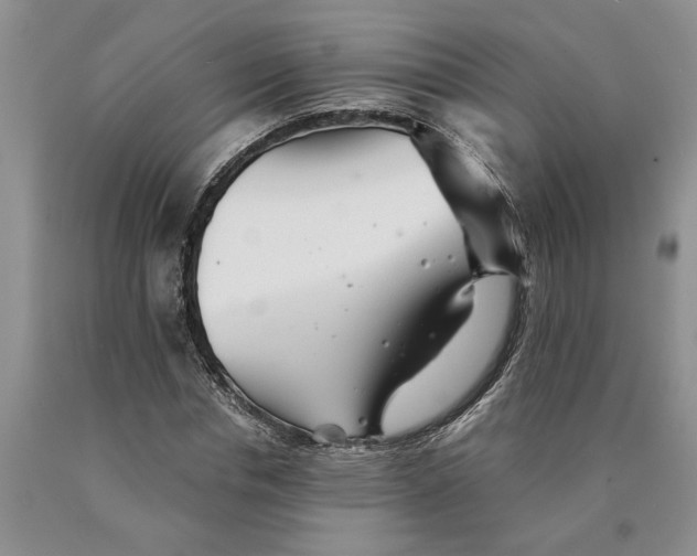 X0000089920826200707271734