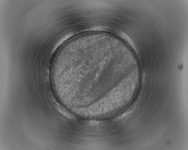 X0000089920827200707271734