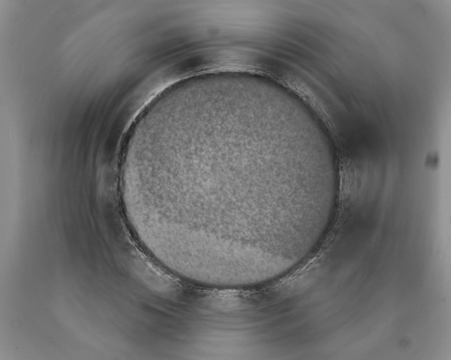 X0000089920828200707271734