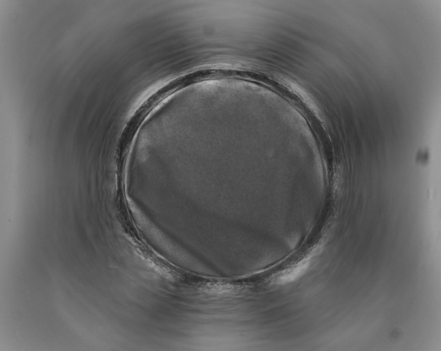 X0000089920829200707271734