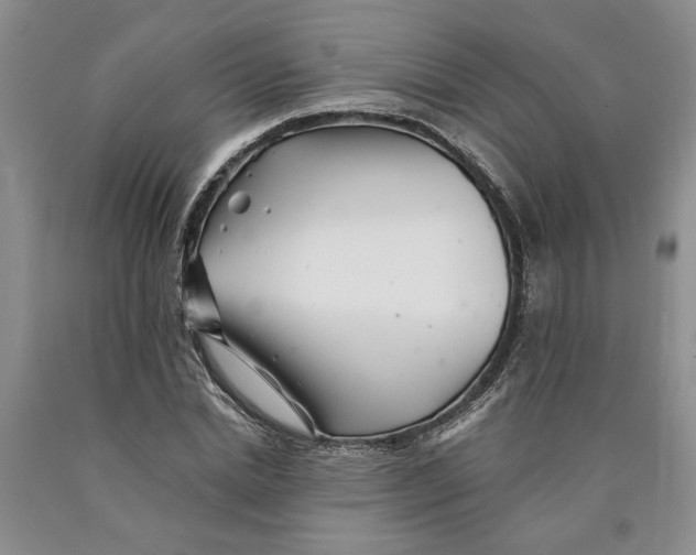 X0000089920830200707271734