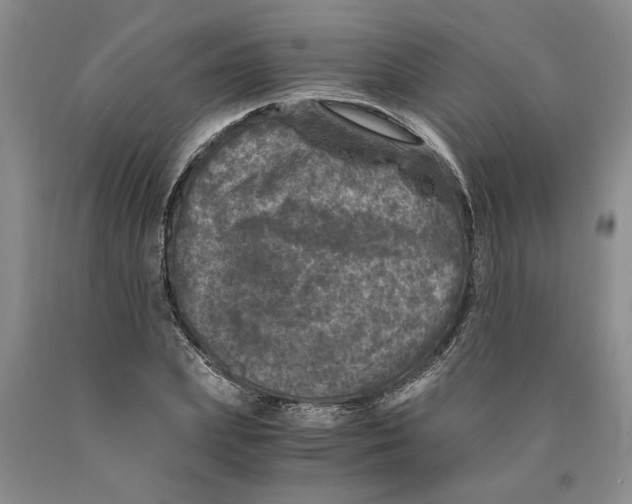 X0000089920831200707271734