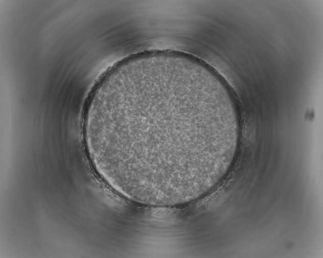 X0000089920832200707271734