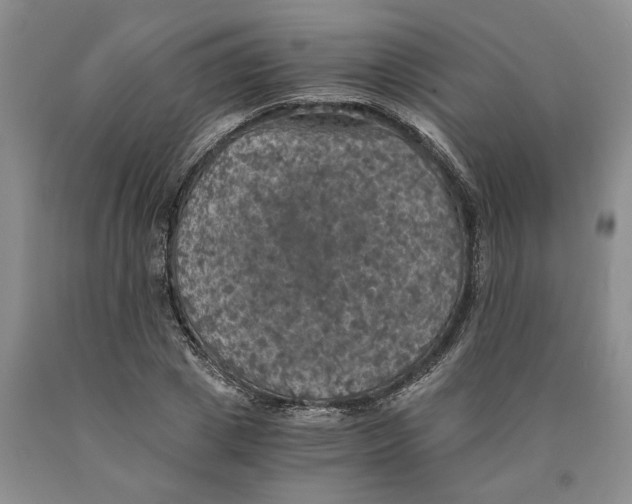 X0000089920833200707271734