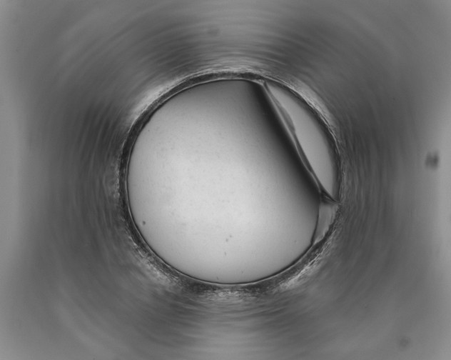 X0000089920834200707271734