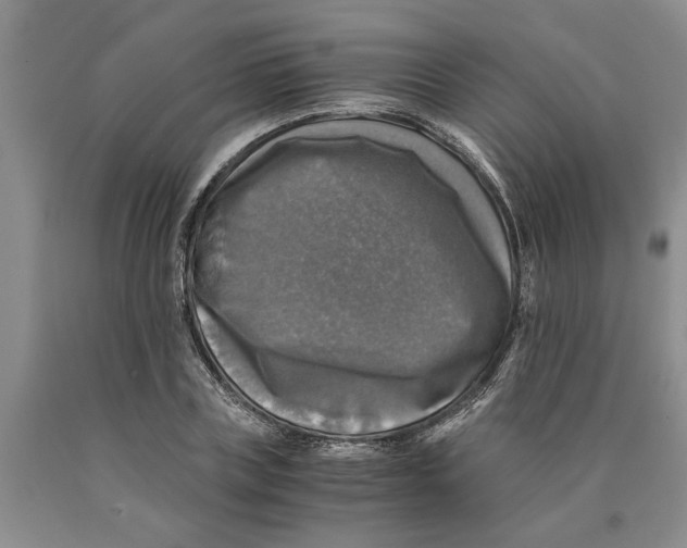 X0000089920835200707271734