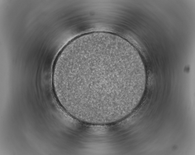 X0000089920836200707271734