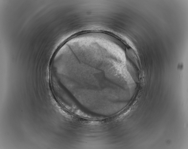 X0000089920839200707271734