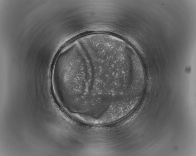 X0000089920840200707271734