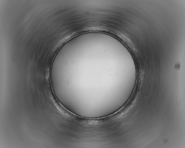 X0000089920841200707271734