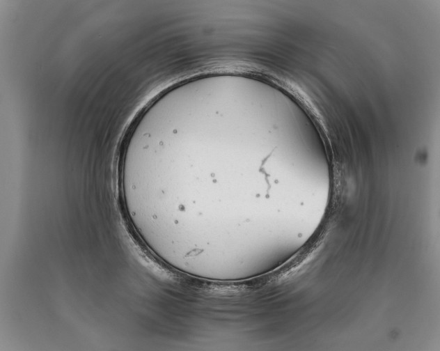 X0000089920843200707271734