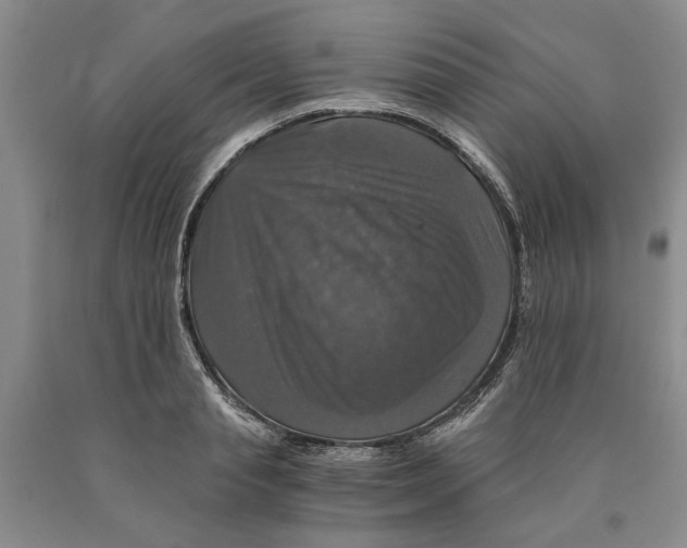 X0000089920845200707271734